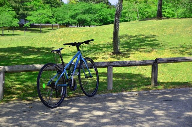 東京のおすすめサイクリングロードを紹介｜初心者に優しいスポットは？