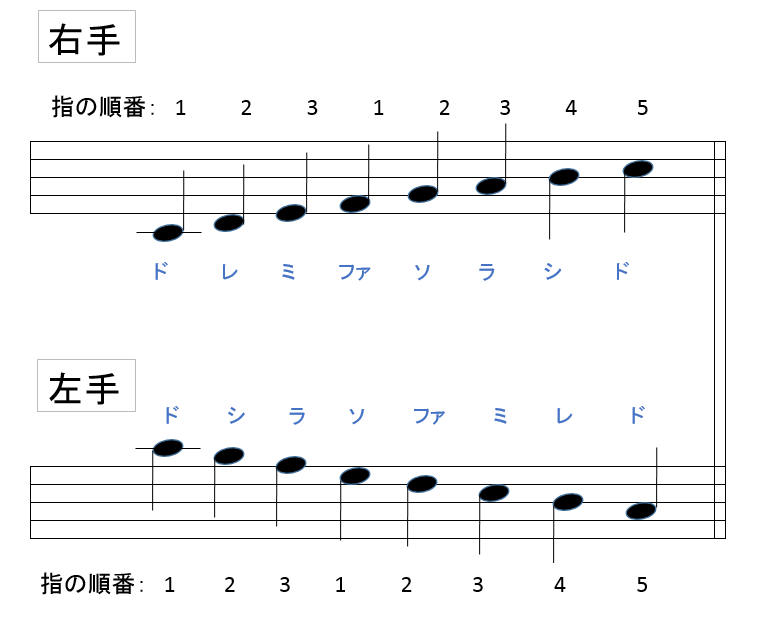 ピアノ初心者必見 上達するために知っておくべきポイント ビギナーズ