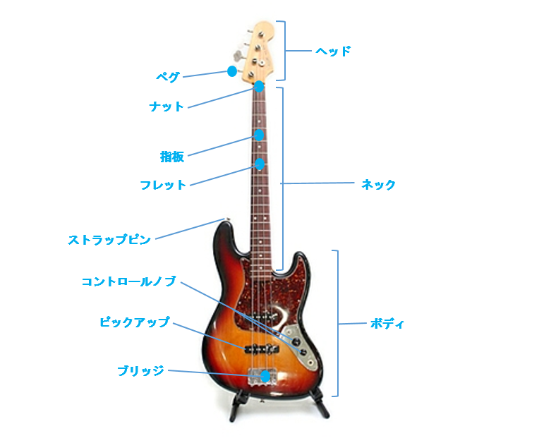 ベースの種類 形 メーカー徹底解説 初心者おすすめモデルも ビギナーズ