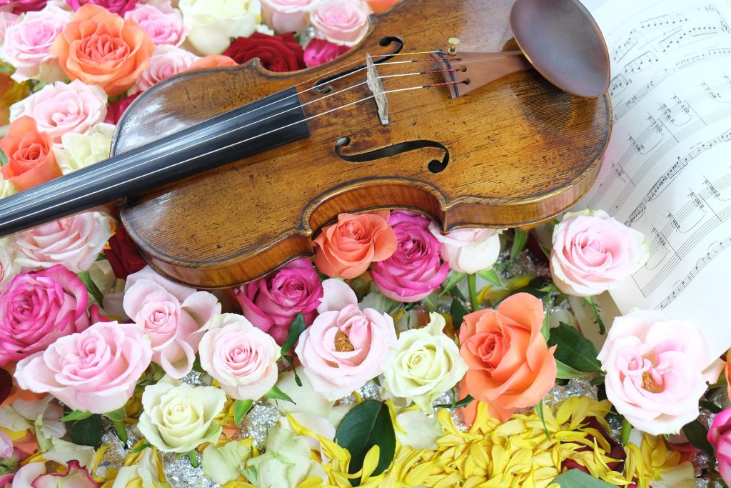 バイオリンを趣味にして人生を楽しむ 初心者の不安を解消 ビギナーズ
