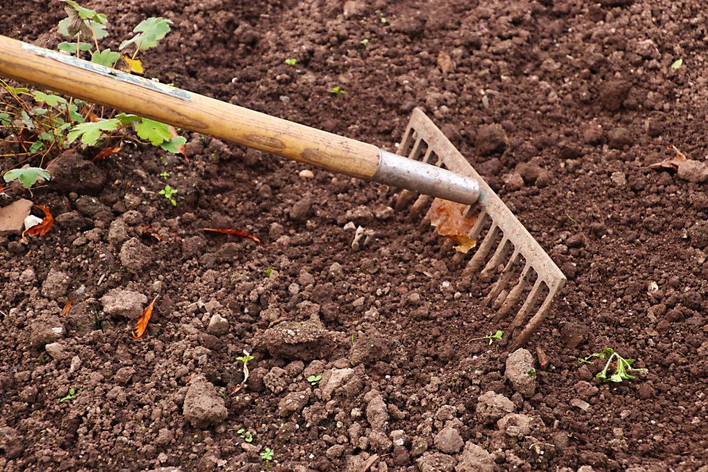 失敗しない家庭菜園の土作り 初心者でも簡単にできる畑の土作りの基本