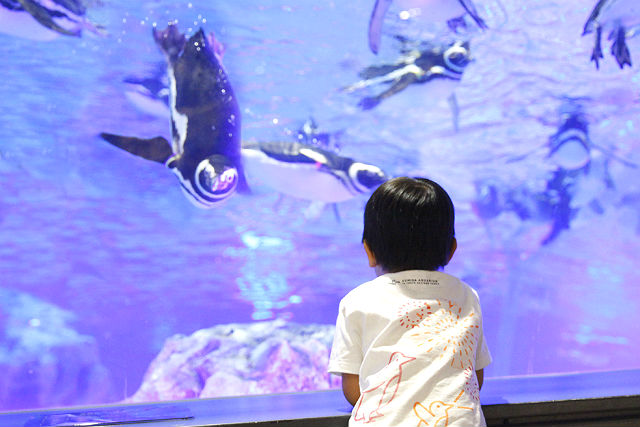 東京都内の室内遊び場23選 雨の日 小学生 無料スポット厳選 ビギナーズ