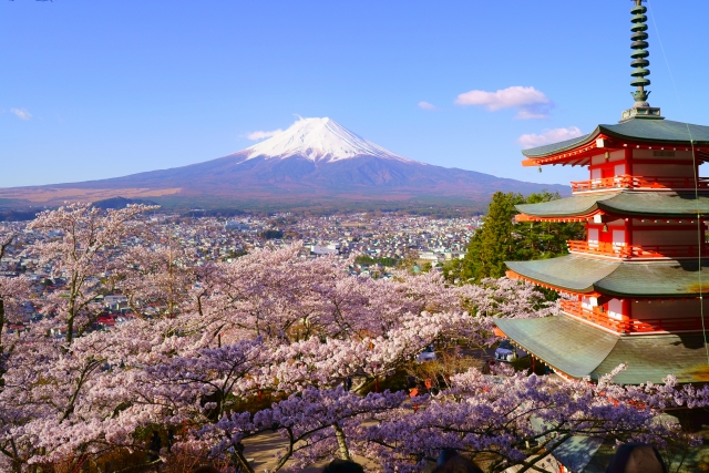 桜の写真を綺麗に撮る設定・コツ・テクニックは？夜桜・桜吹雪も！