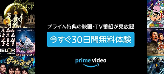 ポケットモンスター映画アニメ見放題の動画配信 Vod サービスは ビギナーズ