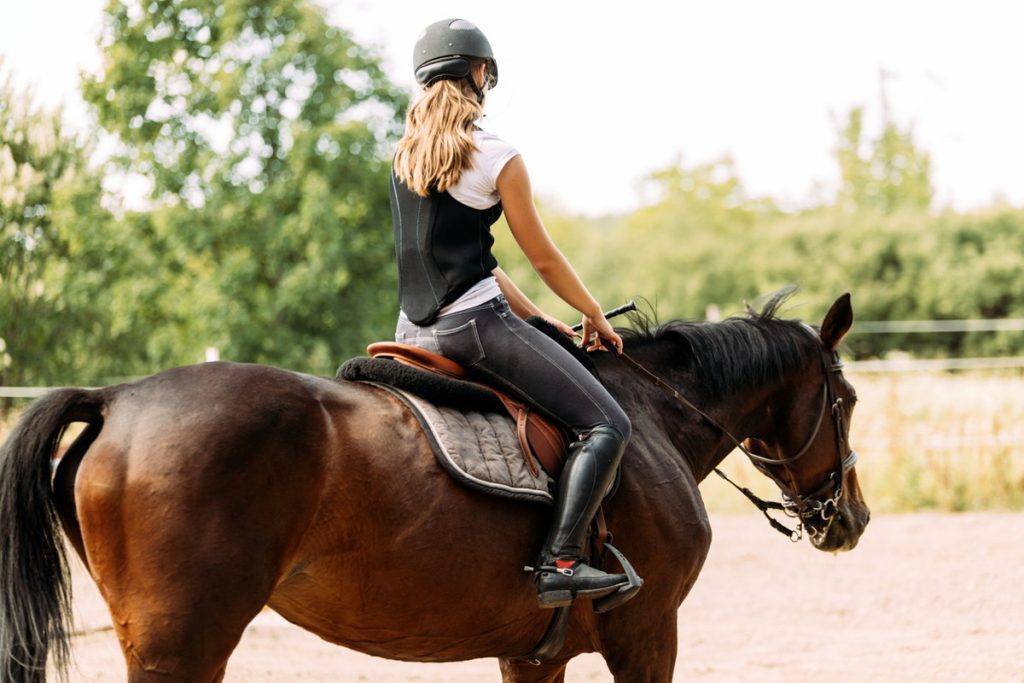 最大66％オフ！ 馬術用品 馬頭牽引 馬ロープ 馬の手綱 快適 柔らかい 調節可能 馬術 乗馬