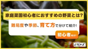 家庭菜園初心者におすすめの野菜