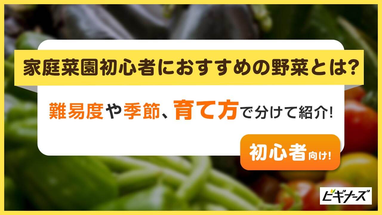 [初心者向け]家庭菜園の野菜/果物の選び方|おすすめは？プランターで簡単野菜作り