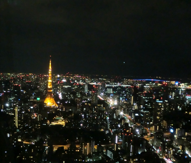 夜景スポットを日本全国から厳選 デートやドライブにおすすめな絶景名所まとめ ビギナーズ