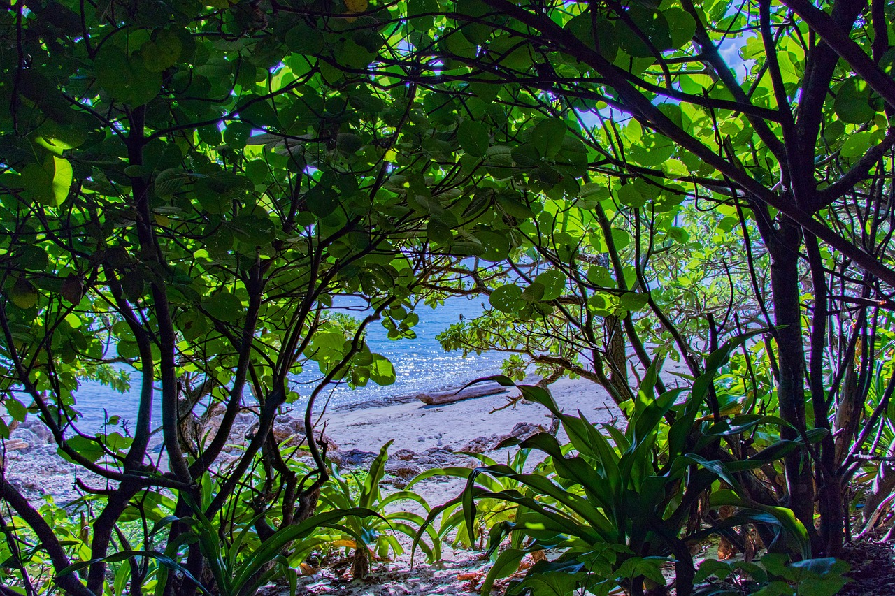 沖縄の自然を満喫したい人におすすめの穴場スポット