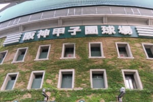 阪神タイガースのプロ野球中継を視聴する方法！【TV放送/ネット】