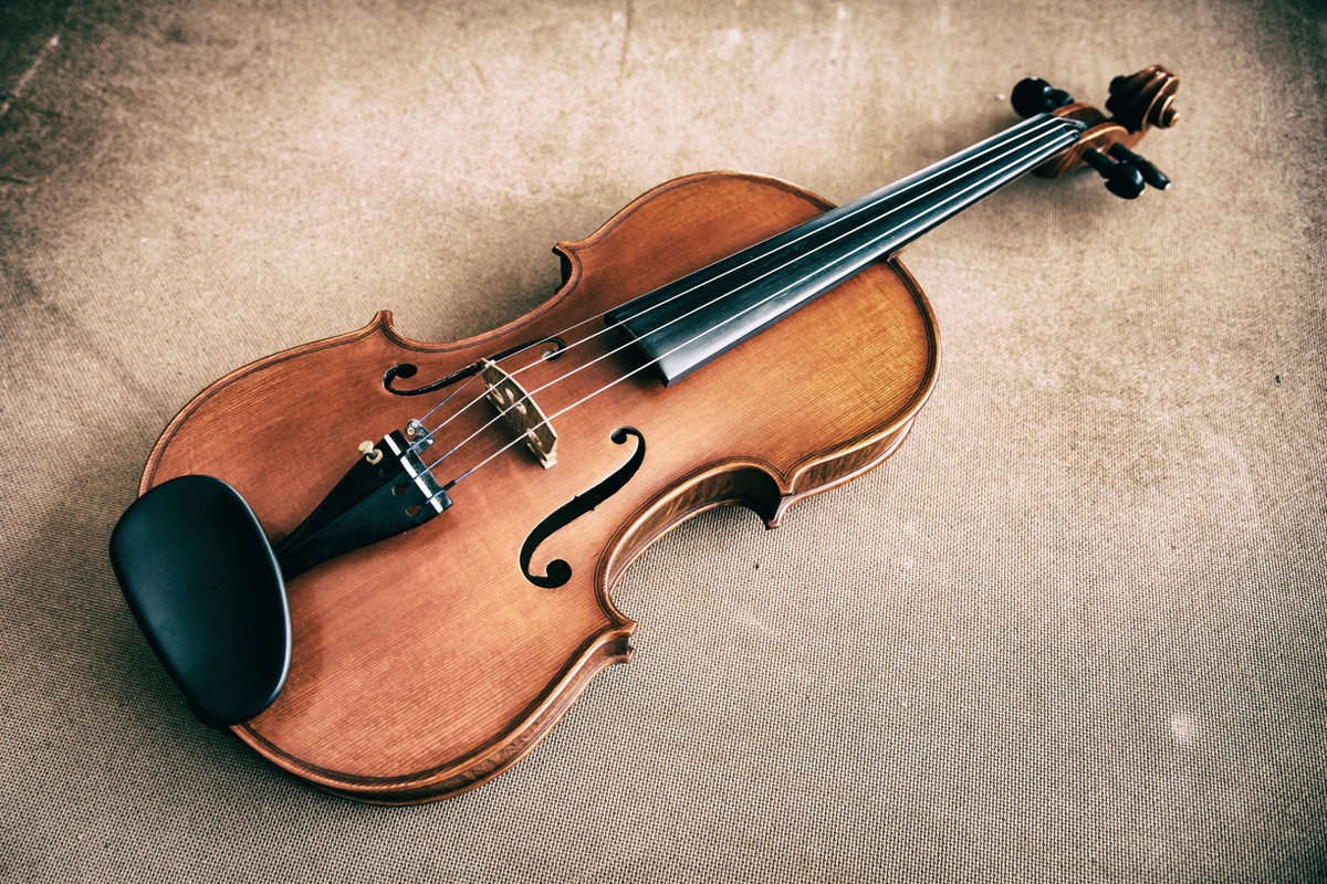 バイオリンの種類と選び方 弦や弓の種類や選び方も解説 ビギナーズ