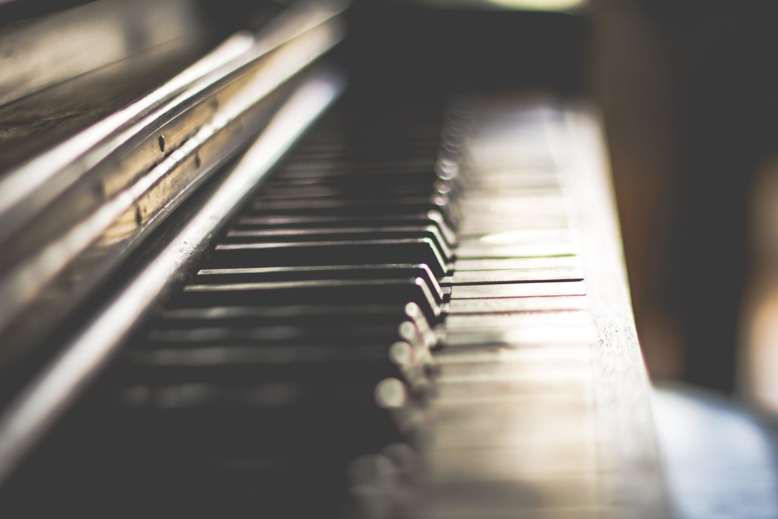 初心者におすすめの電子ピアノ15選 選び方や仕組みも解説 ビギナーズ