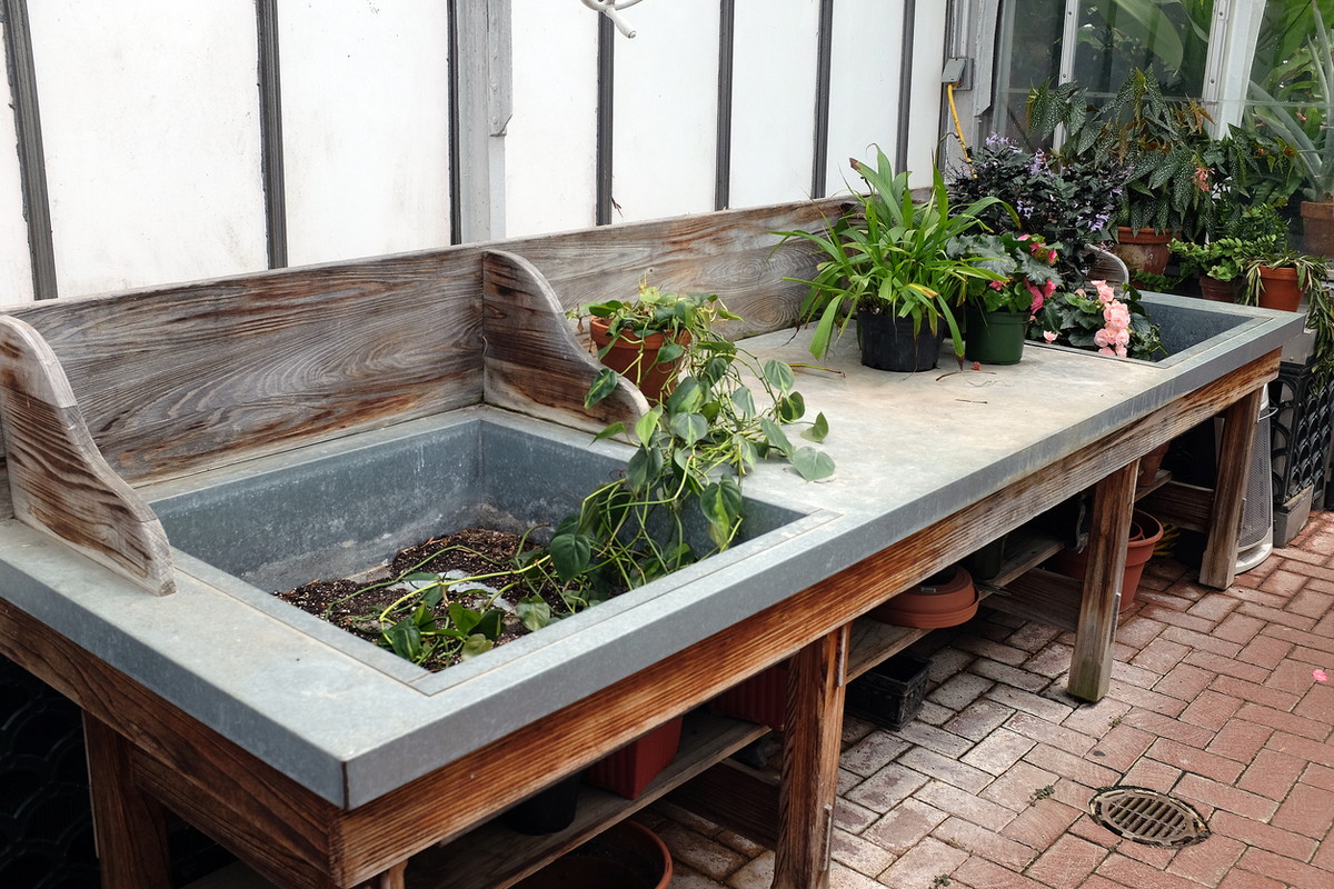 ベランダガーデニング初心者におすすめの植物は 準備するものや注意点も紹介 ビギナーズ ベランダガーデニング初心者におすすめの植物は 準備するものや注意点も紹介 ビギナーズ