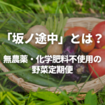 「坂ノ途中」とは？無農薬・化学肥料不使用の野菜定期便