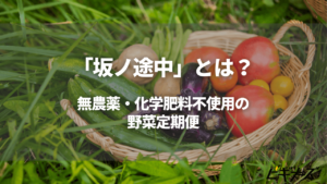 「坂ノ途中」とは？無農薬・化学肥料不使用の野菜定期便