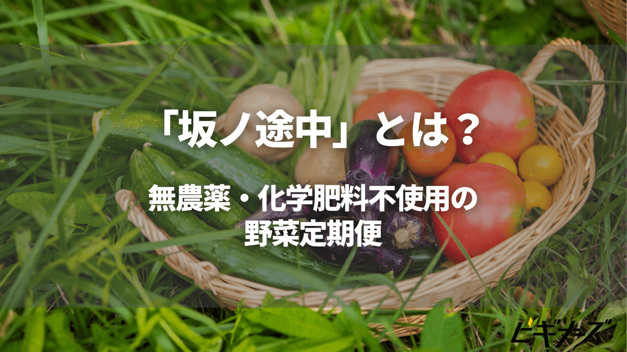 「坂ノ途中」とは?無農薬・化学肥料不使用の野菜定期便