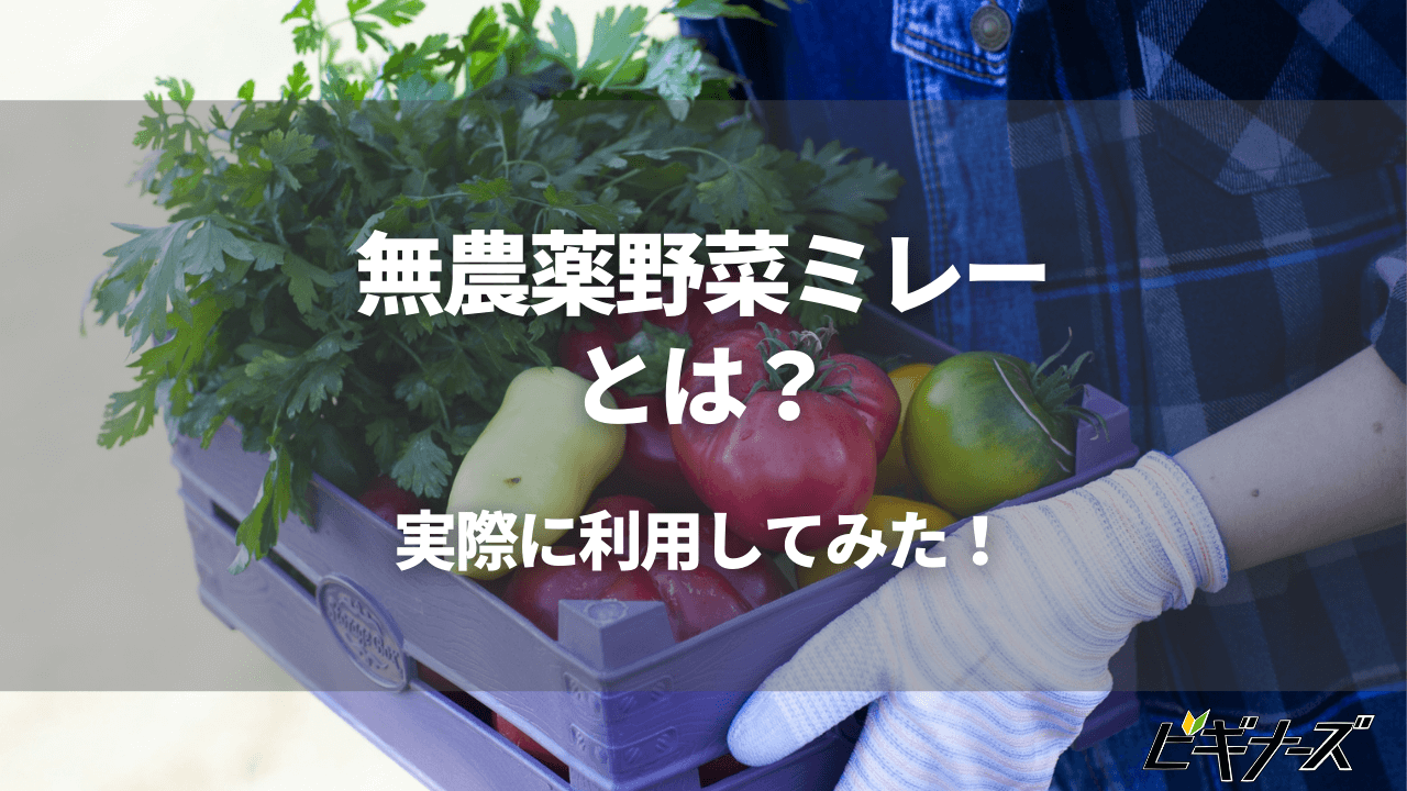 無農薬野菜ミレーとは?利用方法や実際に利用してわかったことを徹底解説!