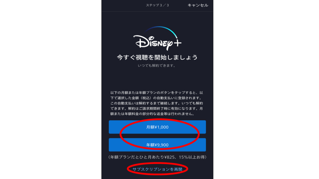 ディズニープラス会員登録App5