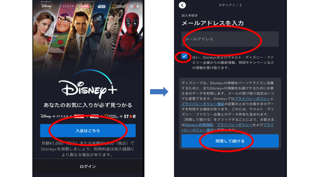 ディズニープラス会員登録App3