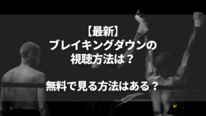 ブレイキングダウン視聴方法