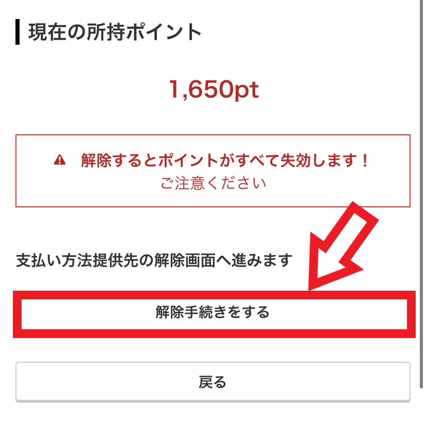 解約手順7．内容を確認して「解除手続きをする」をタップする