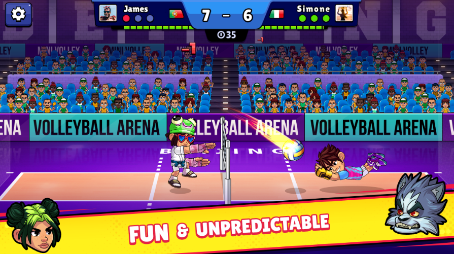 Volleyball Arena