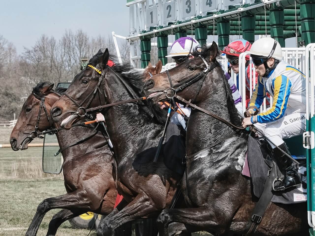 競馬とは