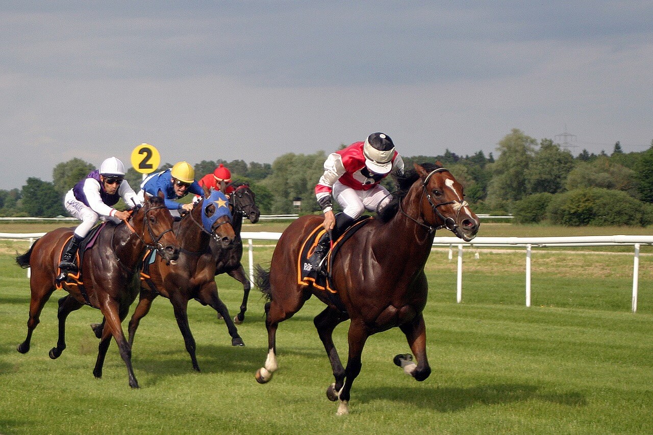 競馬をライブ配信で楽しめる方法