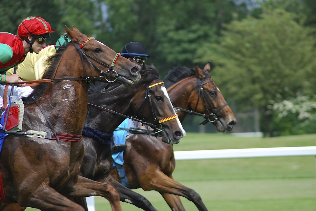 【無料視聴あり】競馬のライブ配信をスマホで楽しめるサービス8選