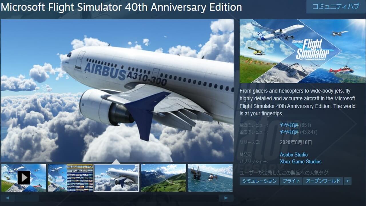 Microsoft Flight Simulator