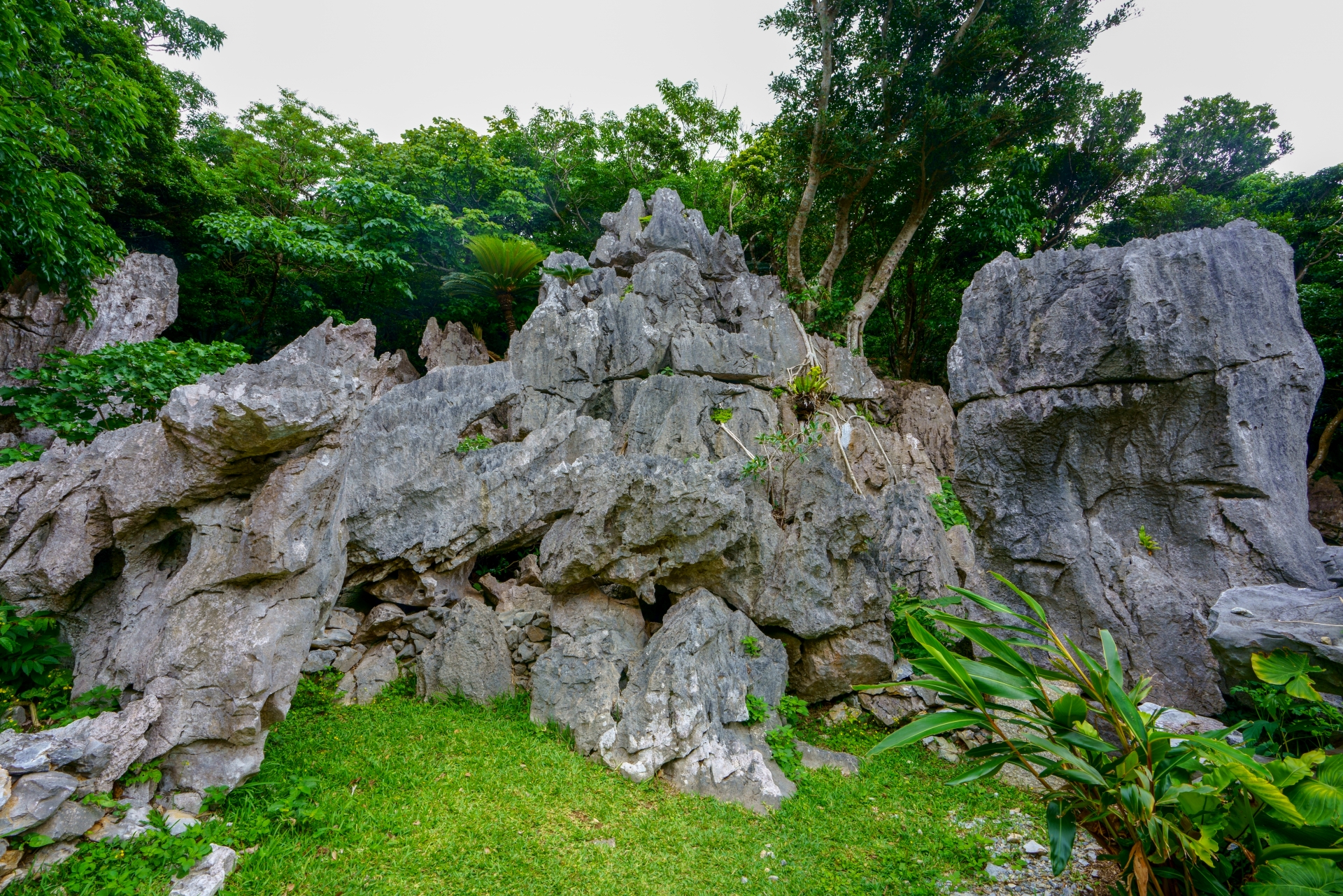 大石林山