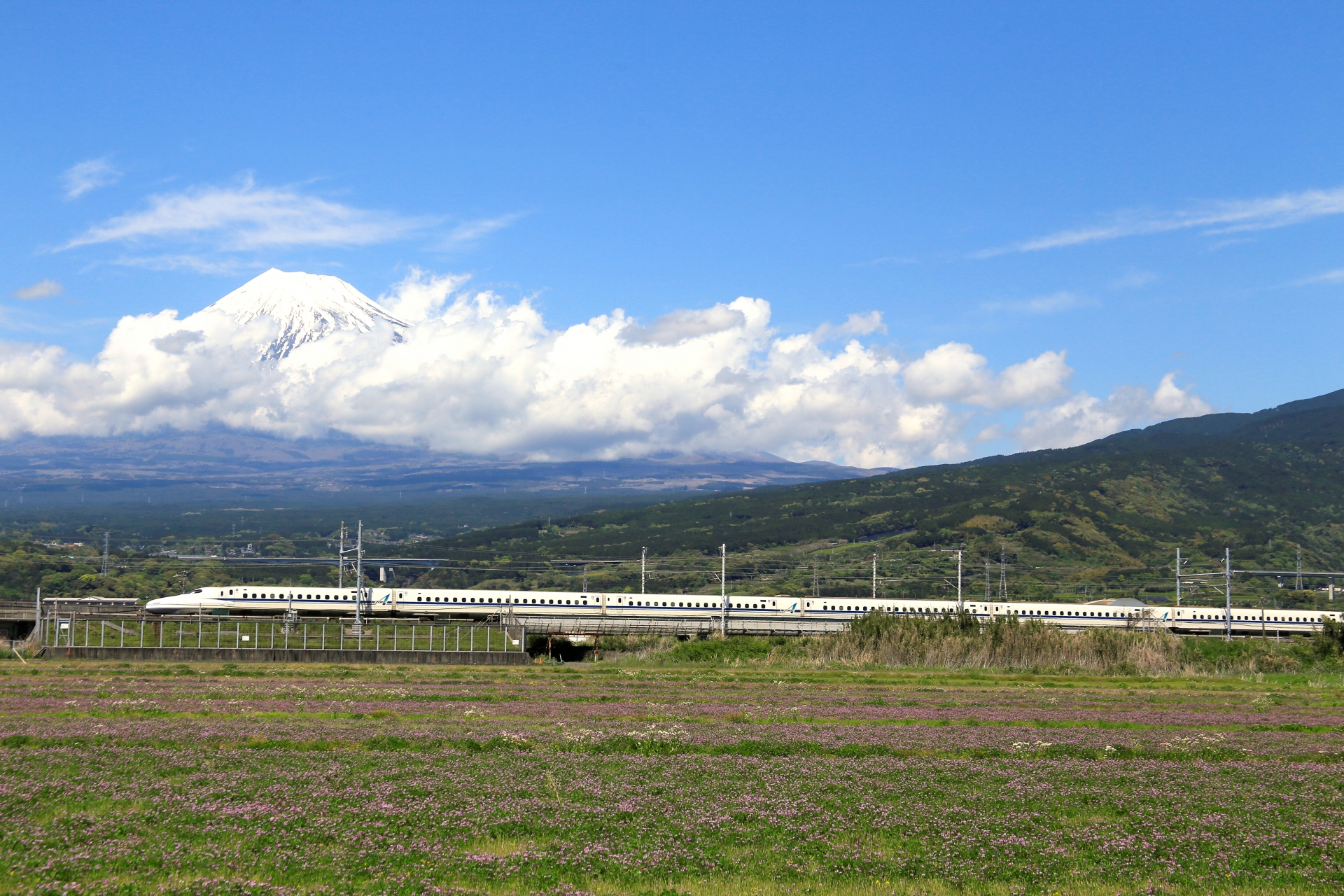 遠めの新幹線