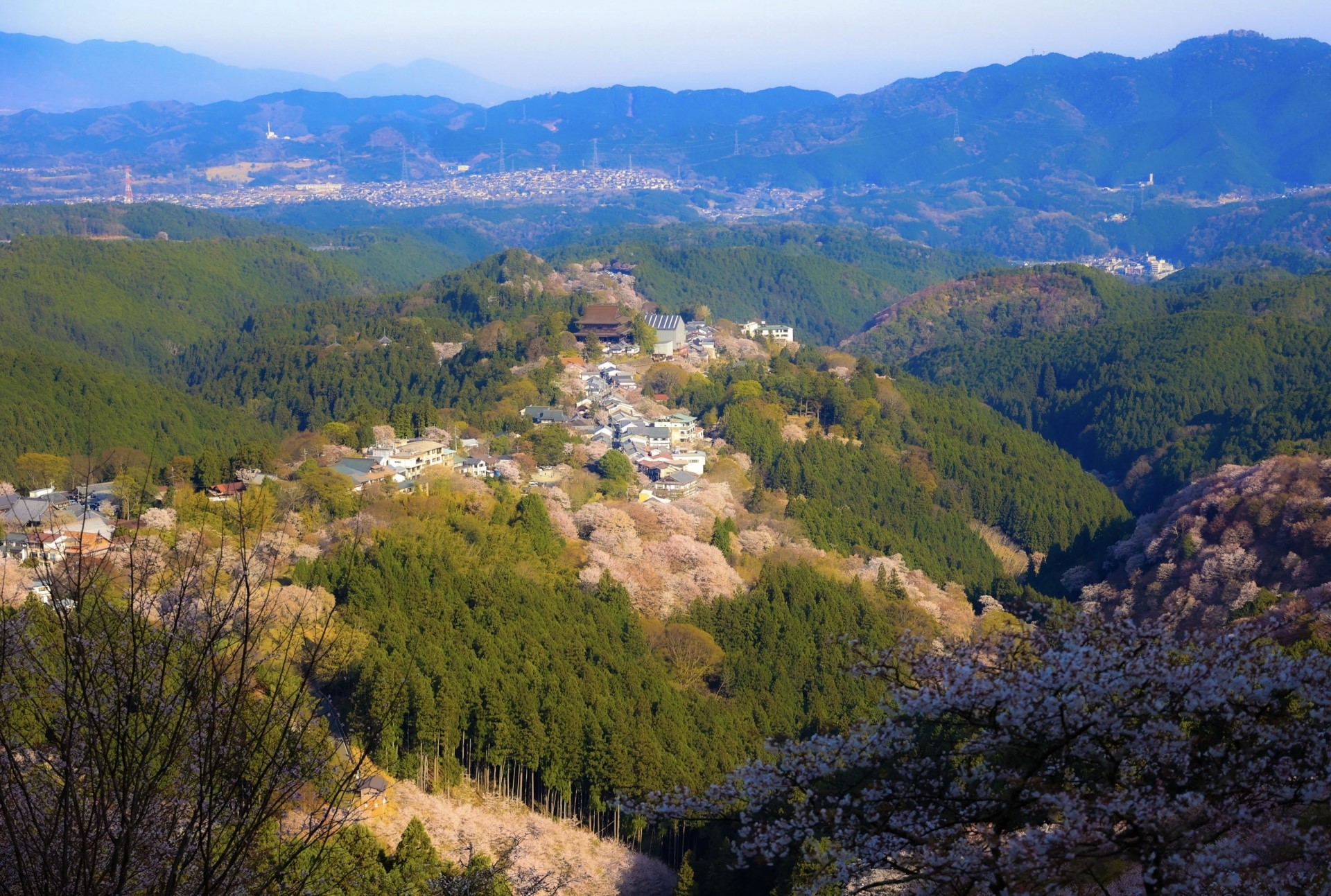 吉野山