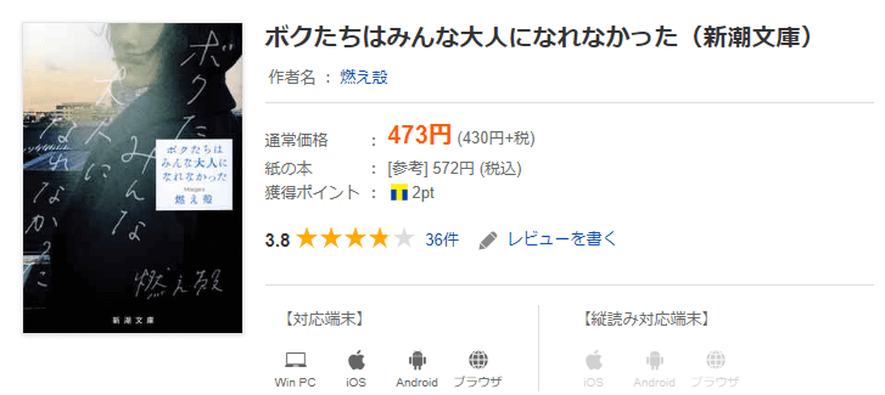 『ボクたちはみんな大人になれなかった』2017年