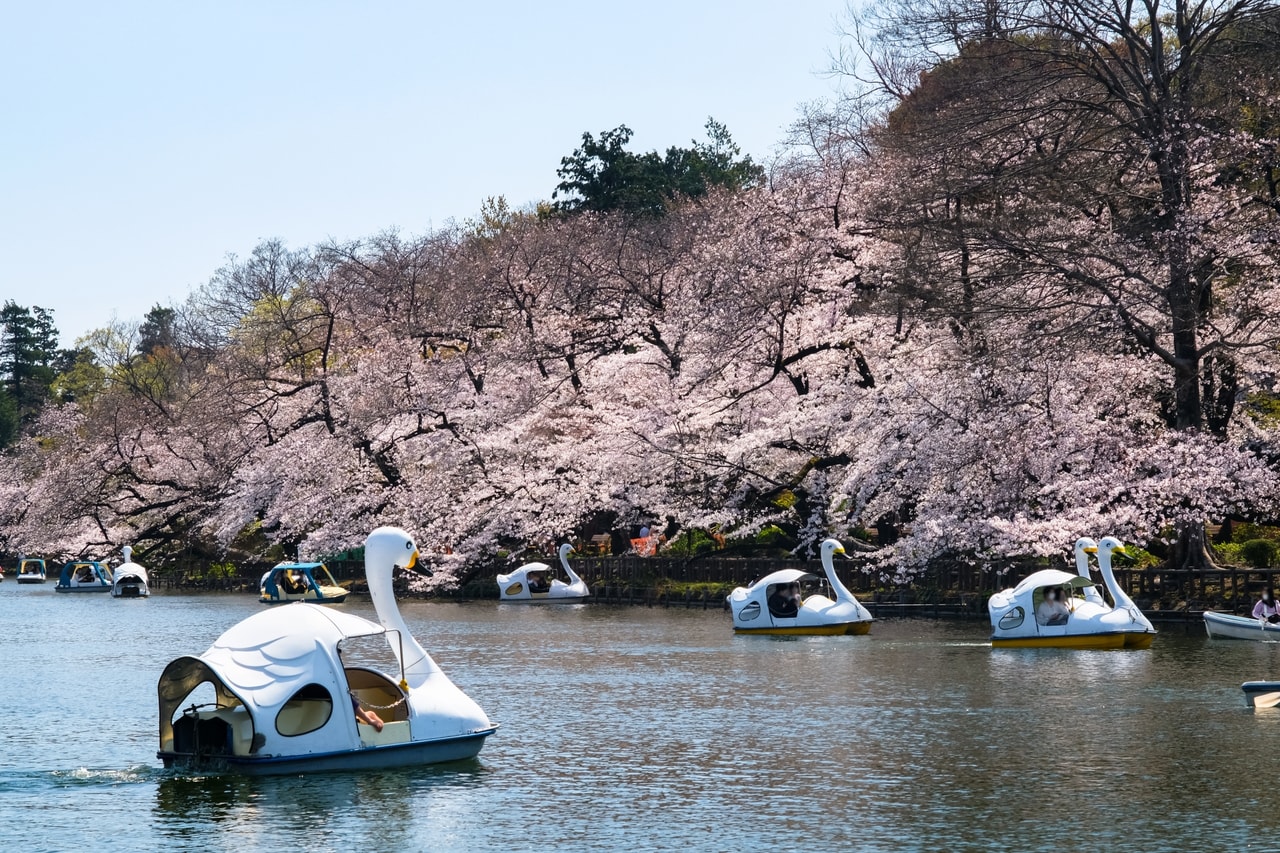 【吉祥寺】おしゃれな街でカフェ巡り