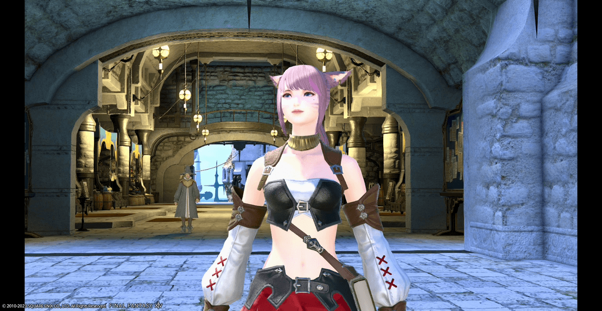 ff14 shoshinsha