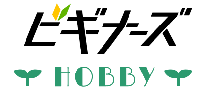 ビギナーズHOBBY