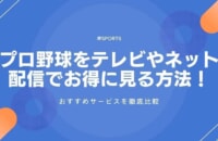 プロ野球のネット中継はテレビで見れる？視聴方法やおすすめ配信サービスを紹介