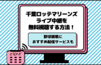 今日の千葉ロッテマリーンズのライブ中継を無料視聴する方法！試合日程や配信サービスも紹介