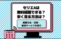 【サッカー】セリエAの視聴方法！無料視聴できる？安く見る方法は？日程・配信サービスも紹介