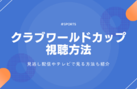 クラブワールドカップ2025を見る方法！無料視聴は？見逃し配信は？テレビで見る方法も紹介