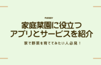 家で野菜を育ててみたい人必見！家庭菜園に役立つアプリとサービスを紹介