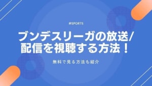 ブンデスリーガ2025-26の放送/配信を視聴する方法！無料で見る方法も紹介