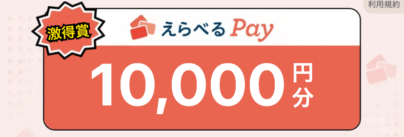 【終了日未定】最大10,000円分えらべるpayポイントバック