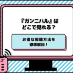 ドラマ『ガンニバル』はどこで見れる？配信サービス・お得な視聴方法を徹底解説