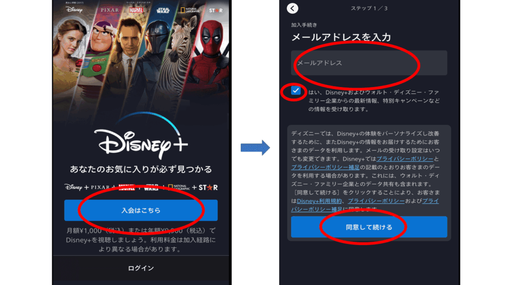 ディズニープラス会員登録App3