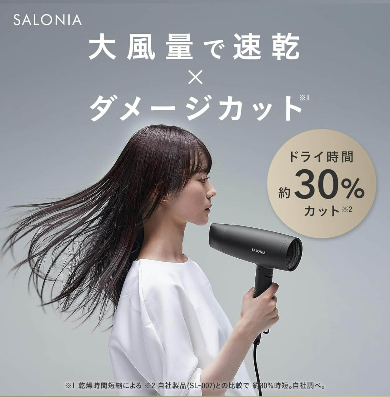 SALONIA マイナスイオン ヘアドライヤー