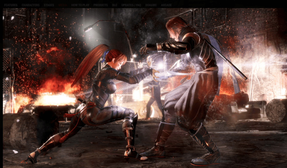 DEAD OR ALIVE 6