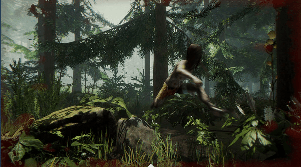 The Forest