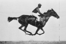 動く馬